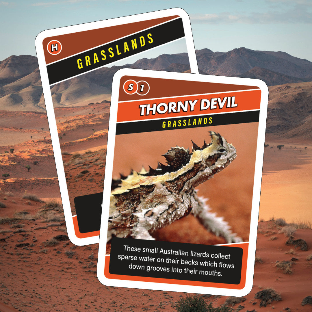 SOS Save Our Species Card Game