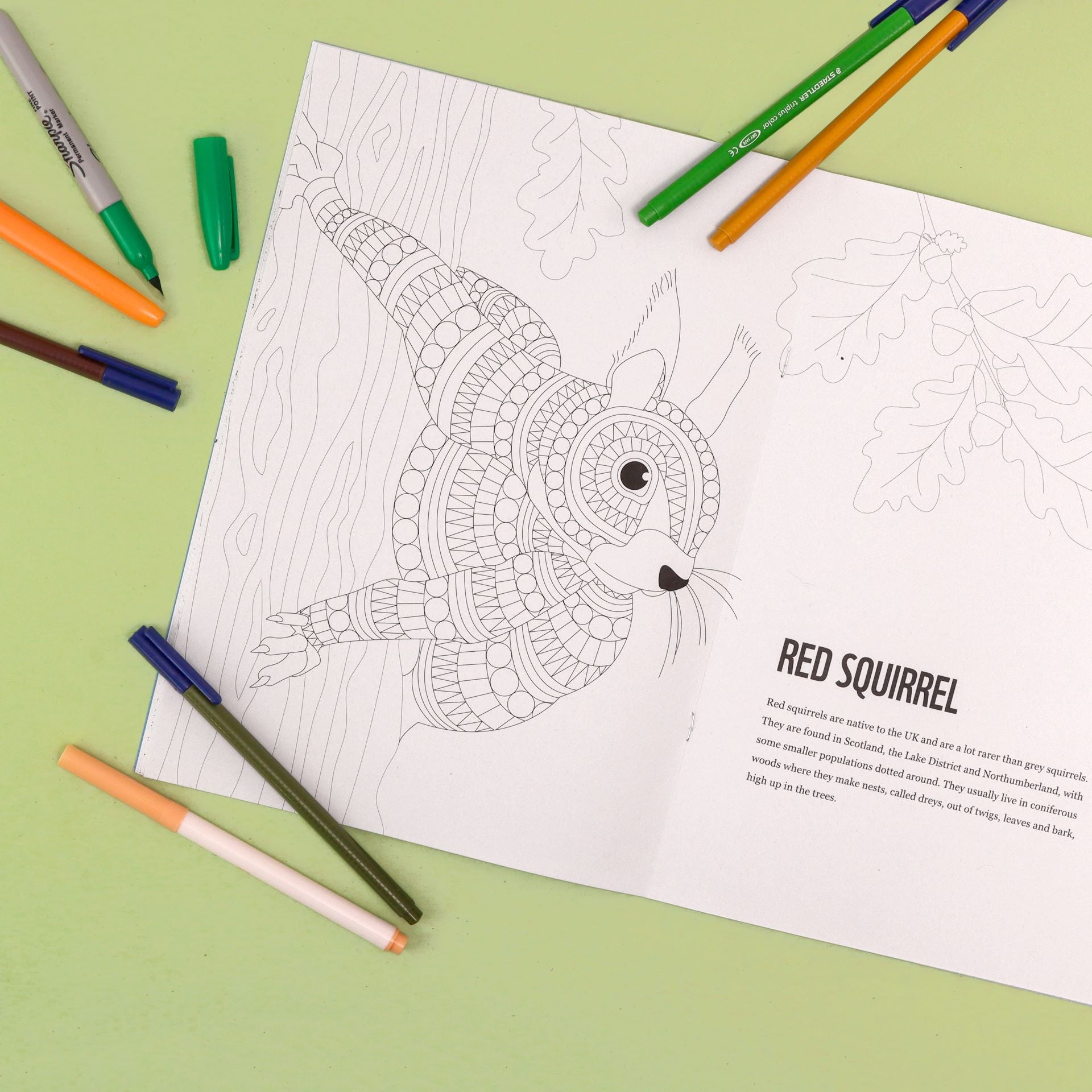 Patterns to Protect Colouring Book ~ UK Edition