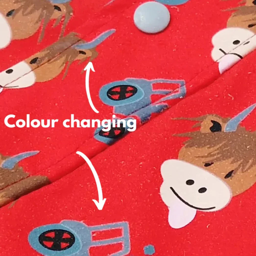 Blade & Rose Colour-Changing Raincoat