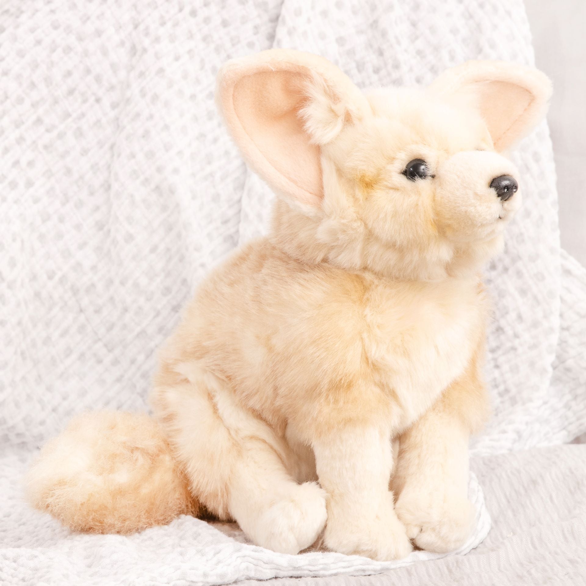 WWF Plush Fennec Fox Toy