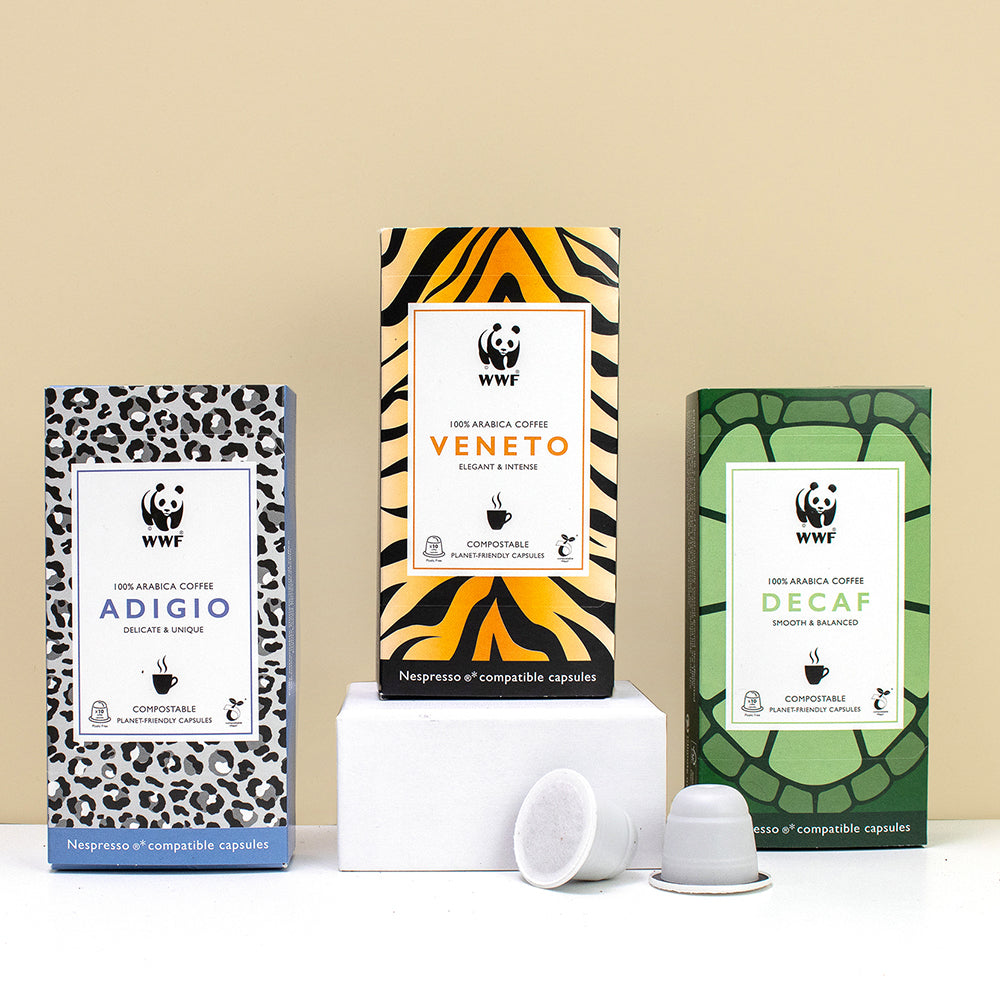 Sustainable Coffee Capsules (x10)