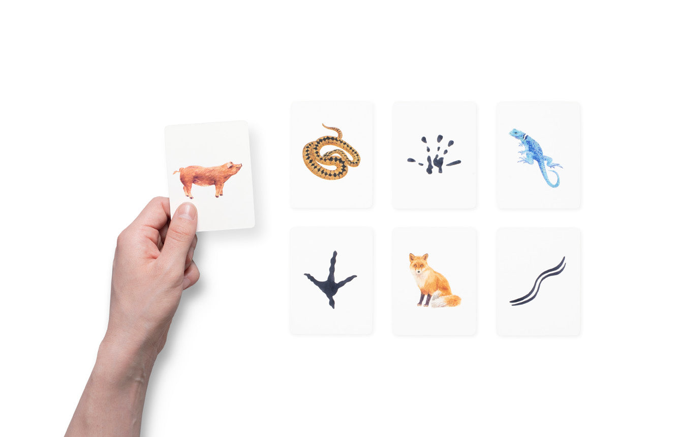 Match a Track Near You