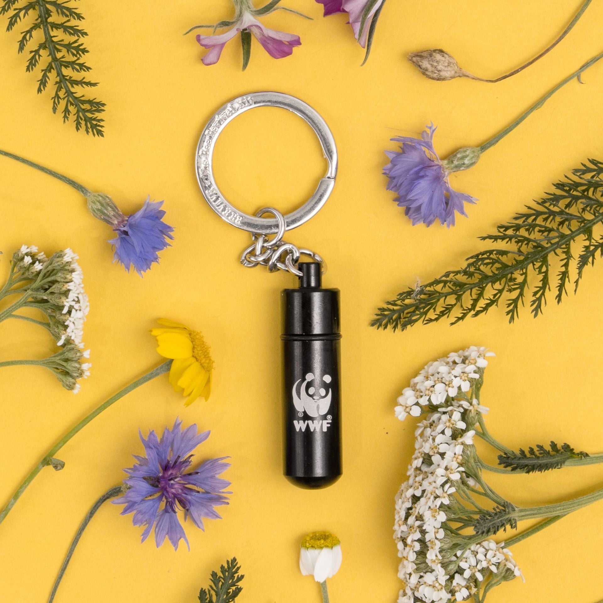 The Original Bee Revival Kit