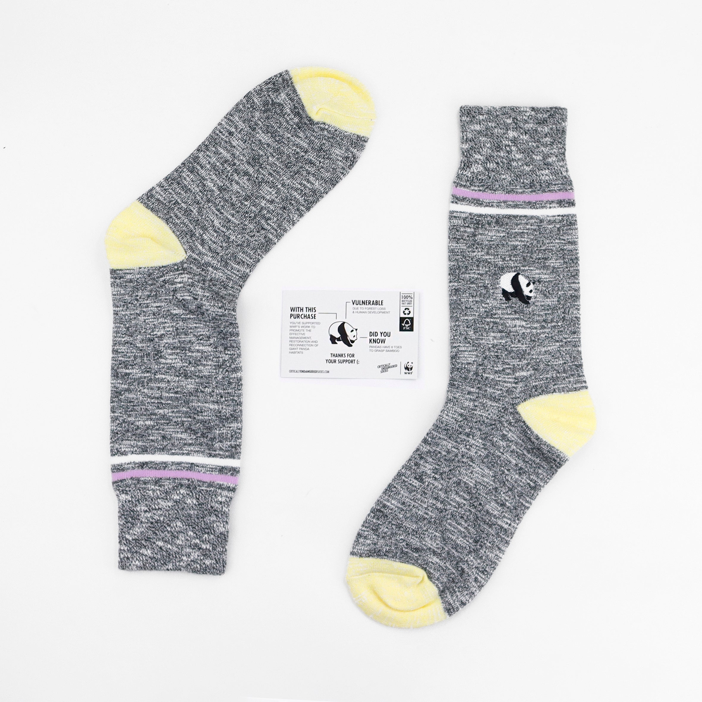 Critically Endangered Adult Speckled Socks