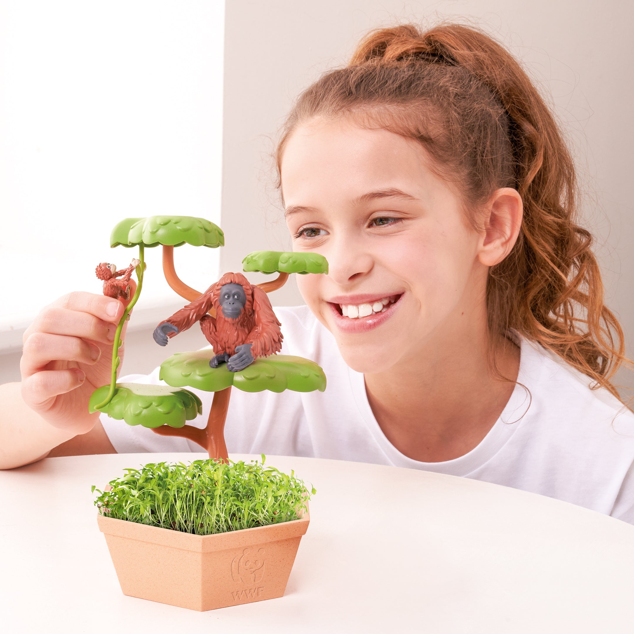 Wild Scenes Grow and Play