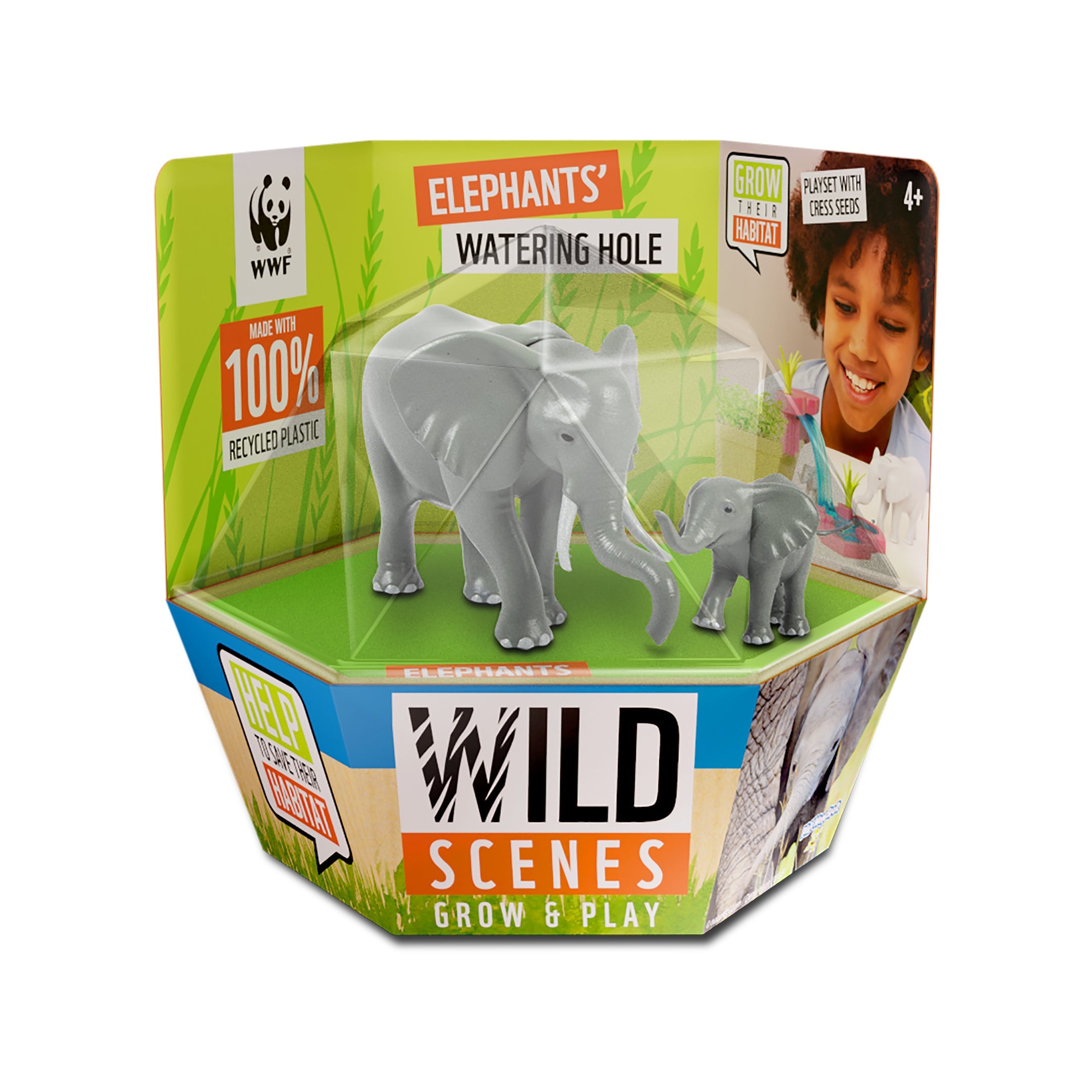 Wild Scenes Grow and Play