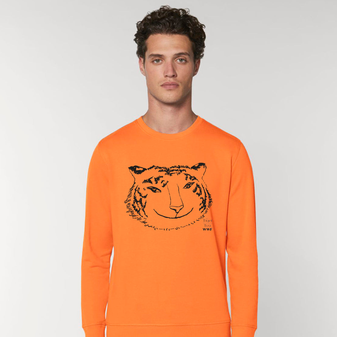 Exclusive The Tiger Who Came to Tea Jumper