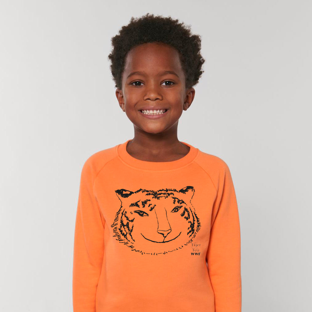 Exclusive The Tiger Who Came to Tea Jumper