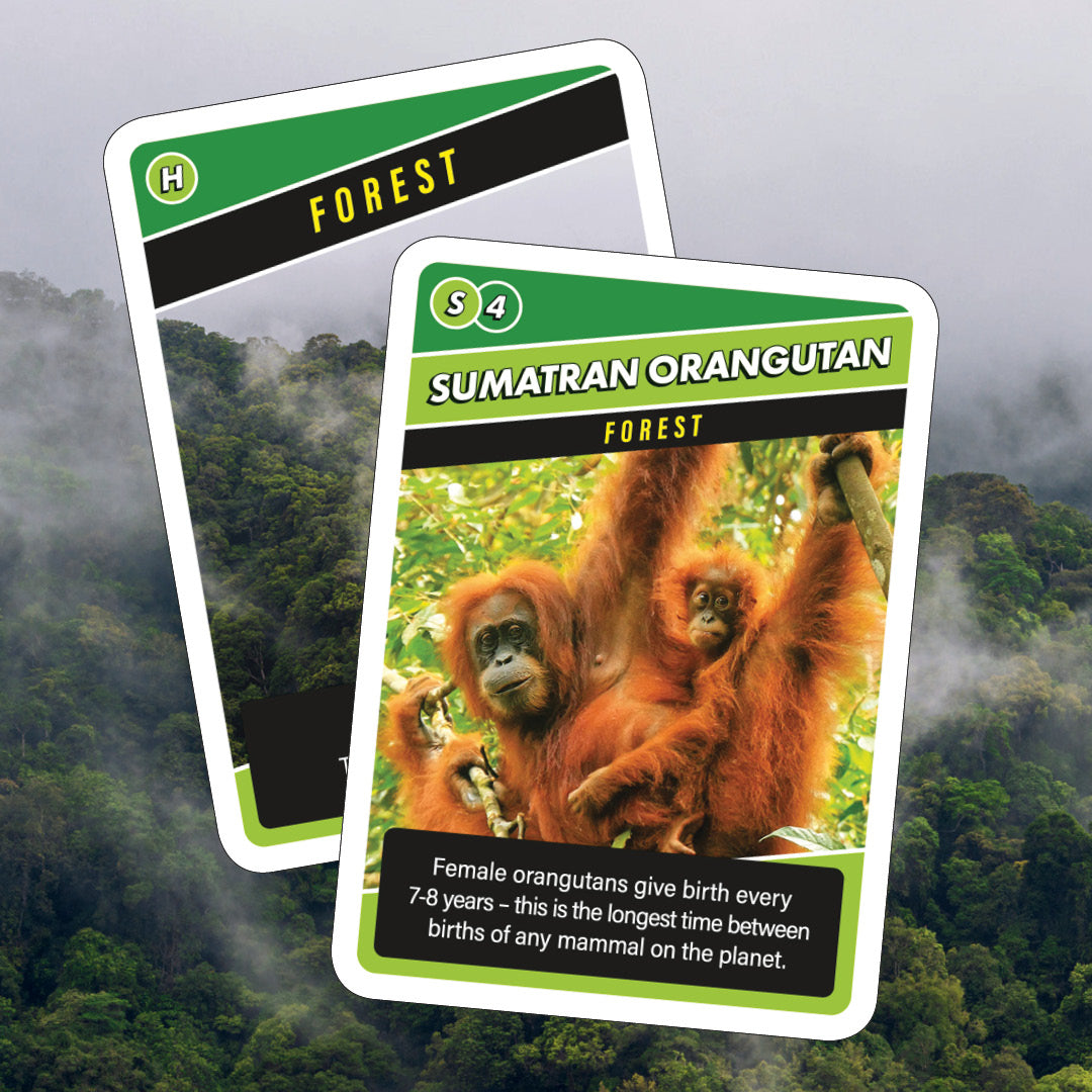 SOS Save Our Species Card Game
