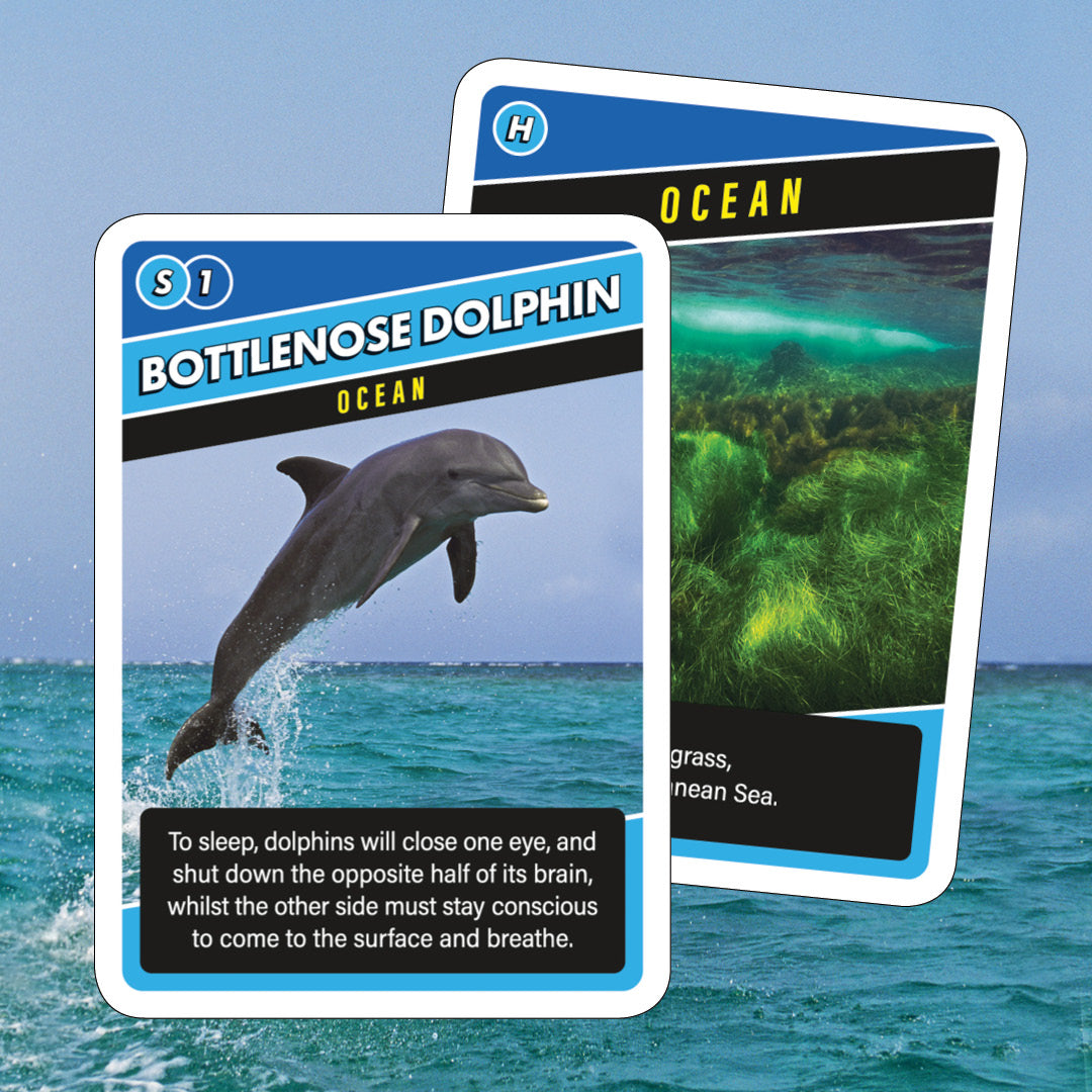 SOS Save Our Species Card Game