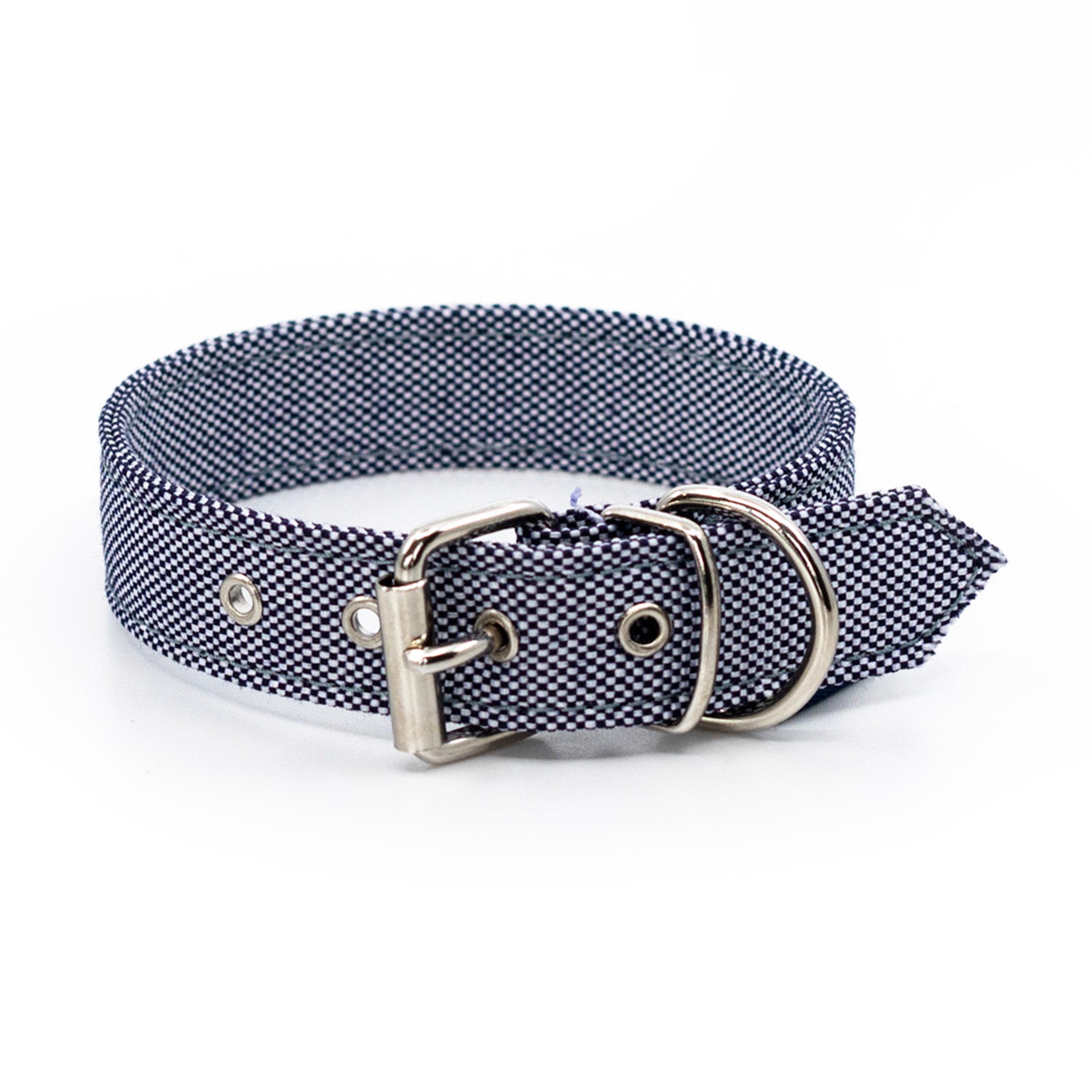 Recycled Dog Collars & Leash