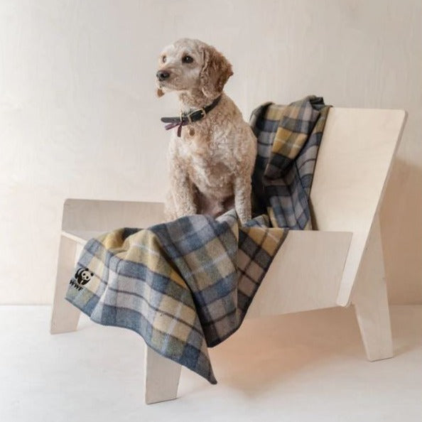 Recycled Wool Large Pet Blanket