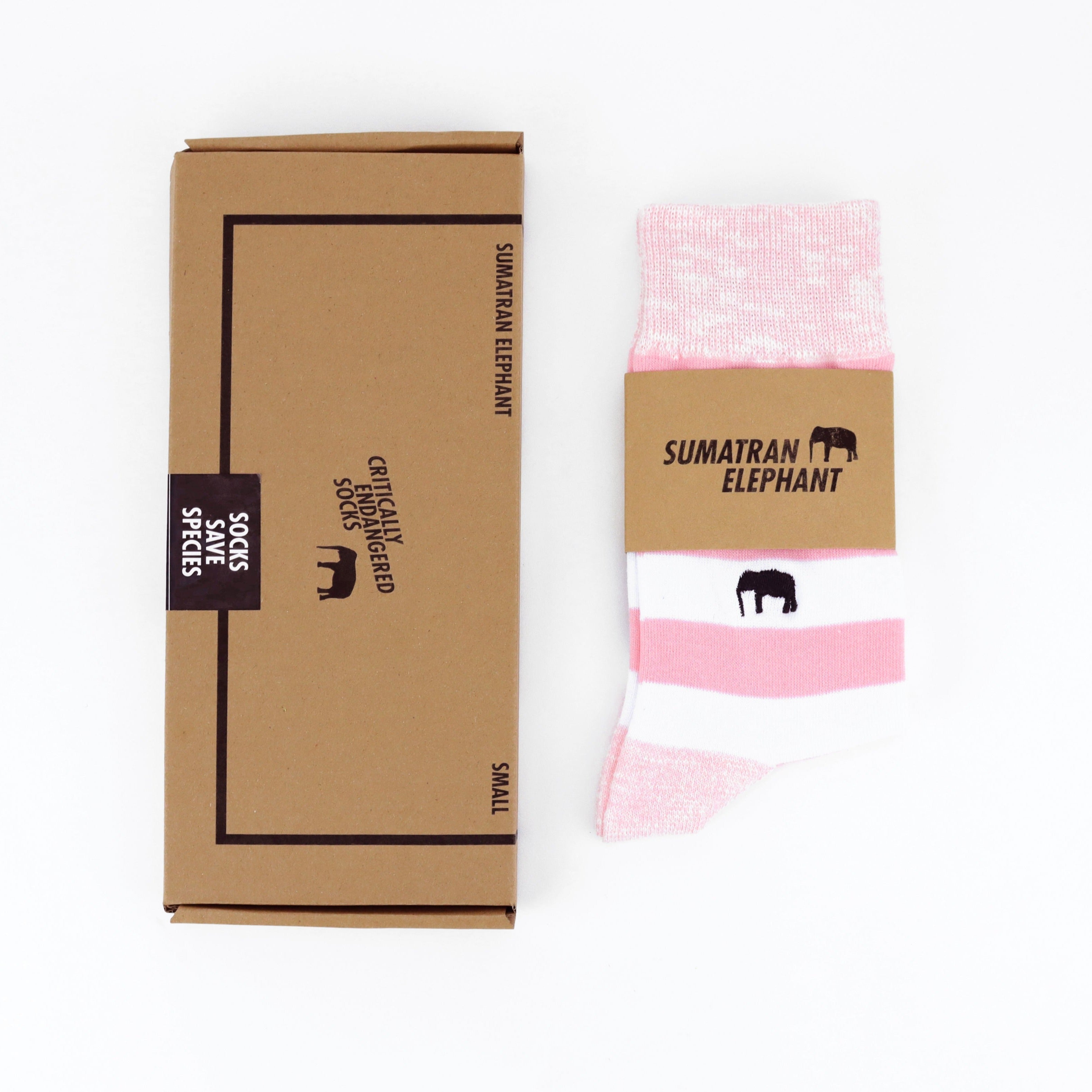 Critically Endangered Adult Striped Socks