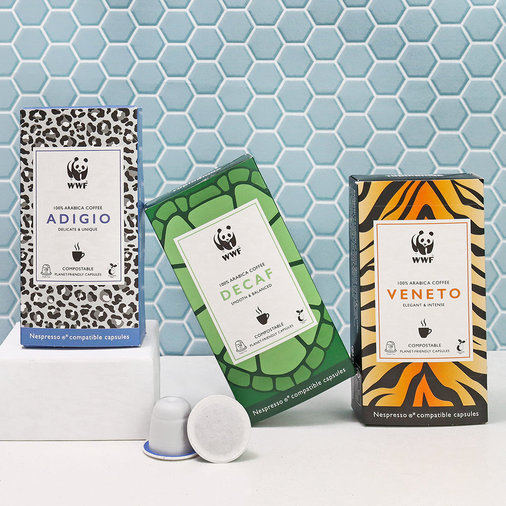 Sustainable Coffee Capsules (x10)