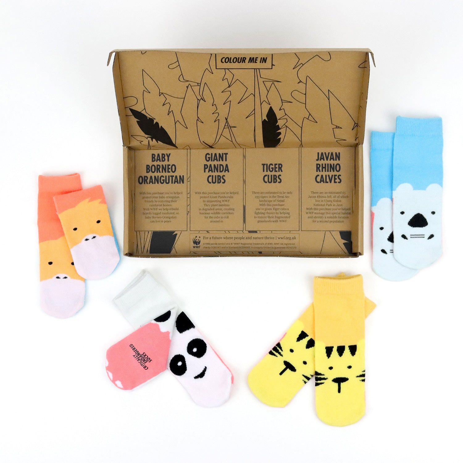 Critically Endangered Baby Socks - 4 pack