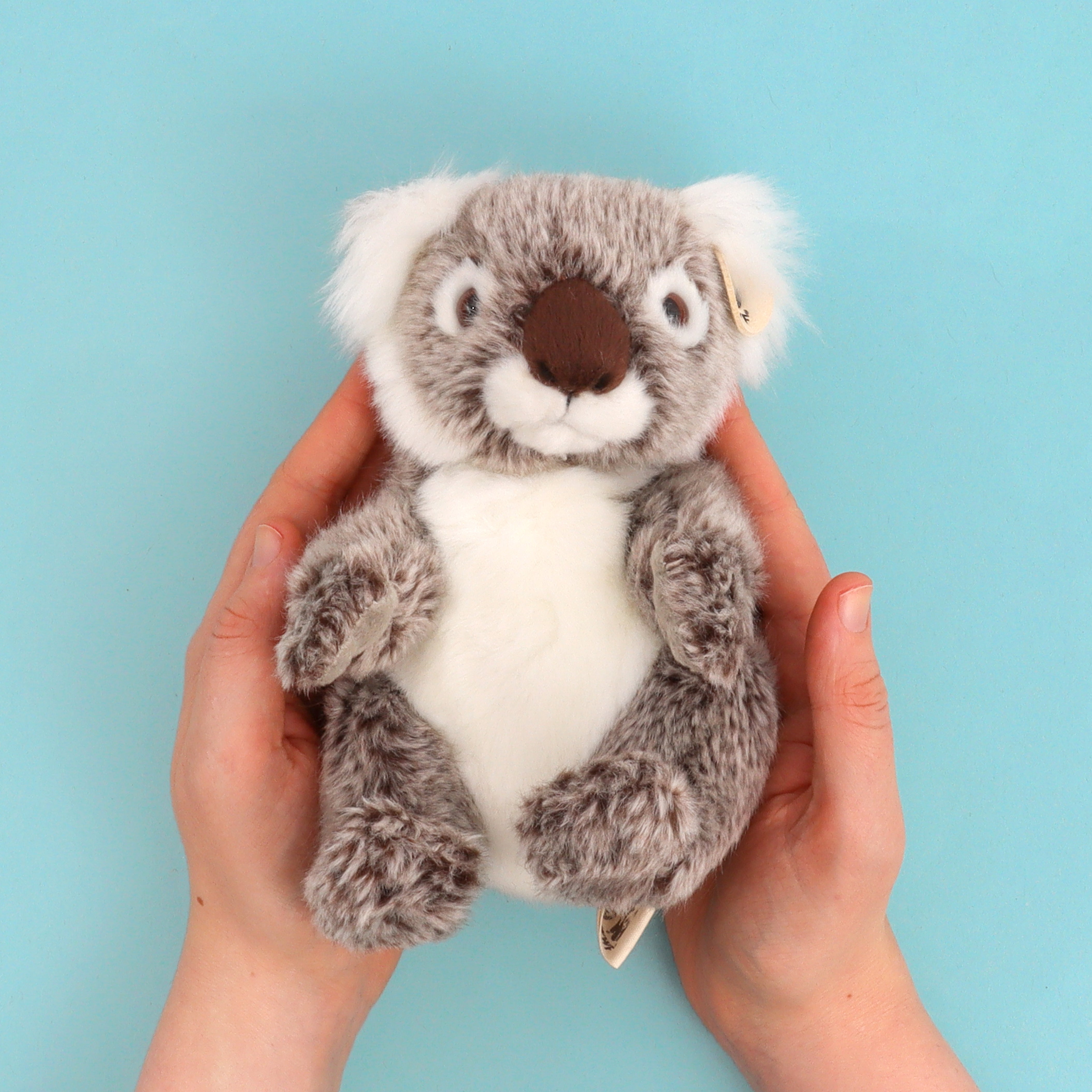 WWF Plush Koala