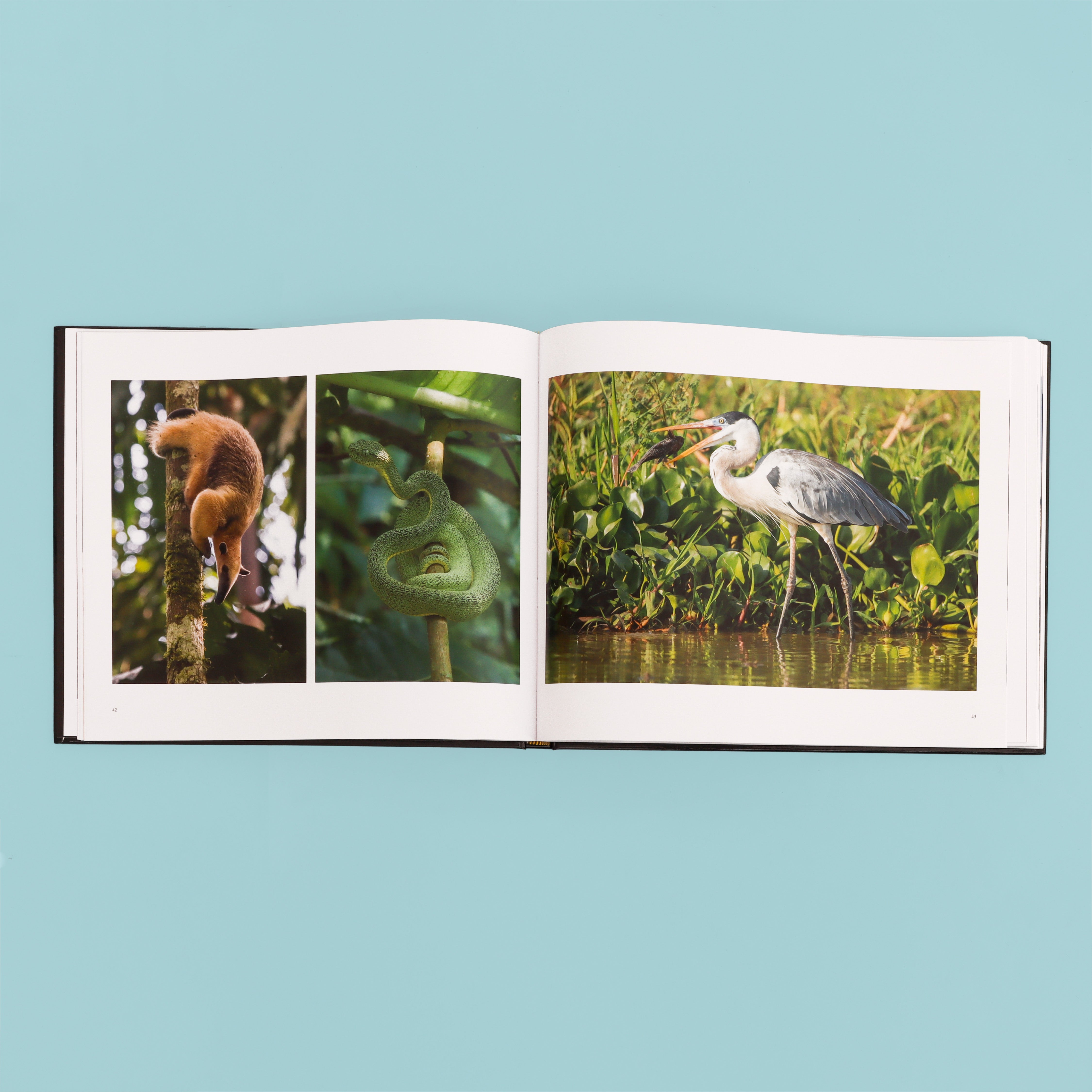 Latitude photography book by Roger Hooper