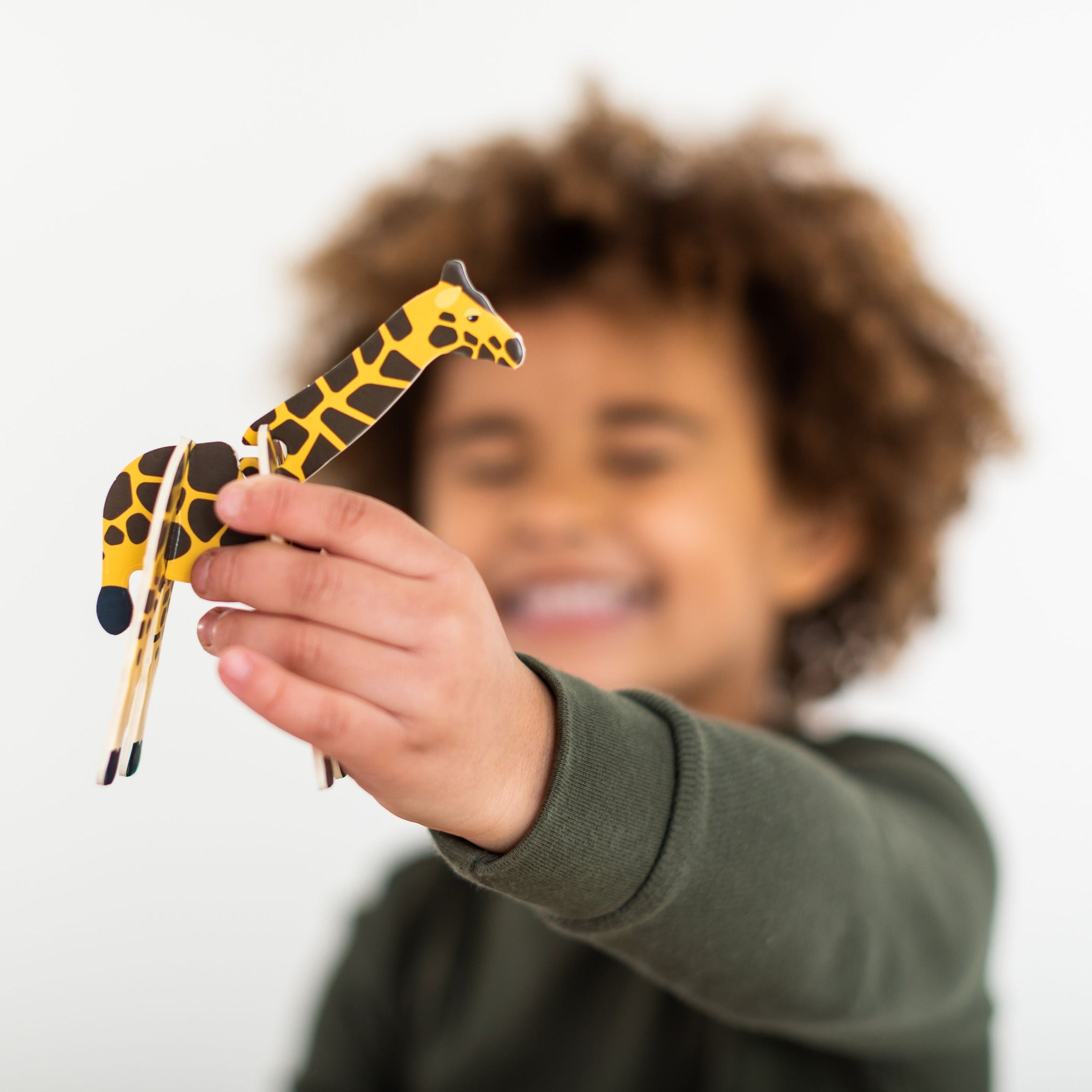 Pop-out & Build Play Sets