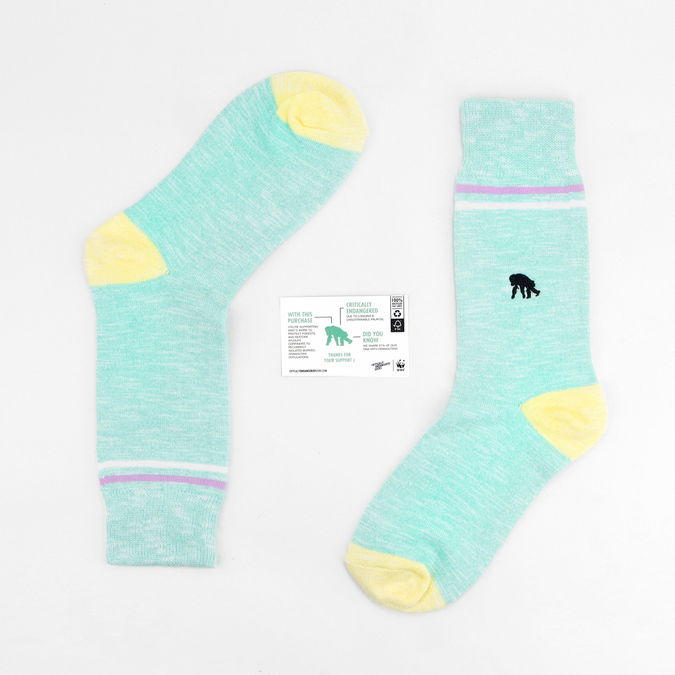 Critically Endangered Adult Speckled Socks