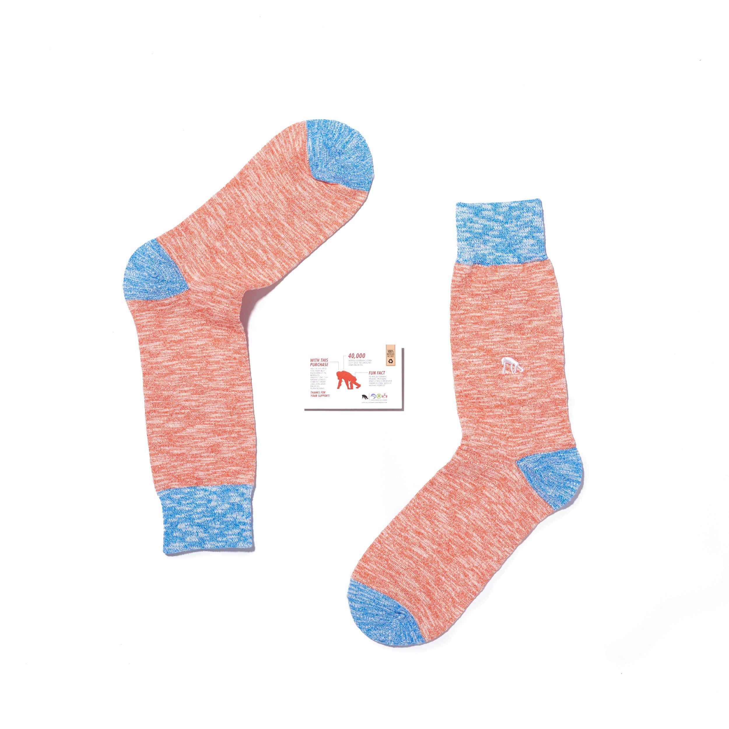 Critically Endangered Adult Speckled Socks