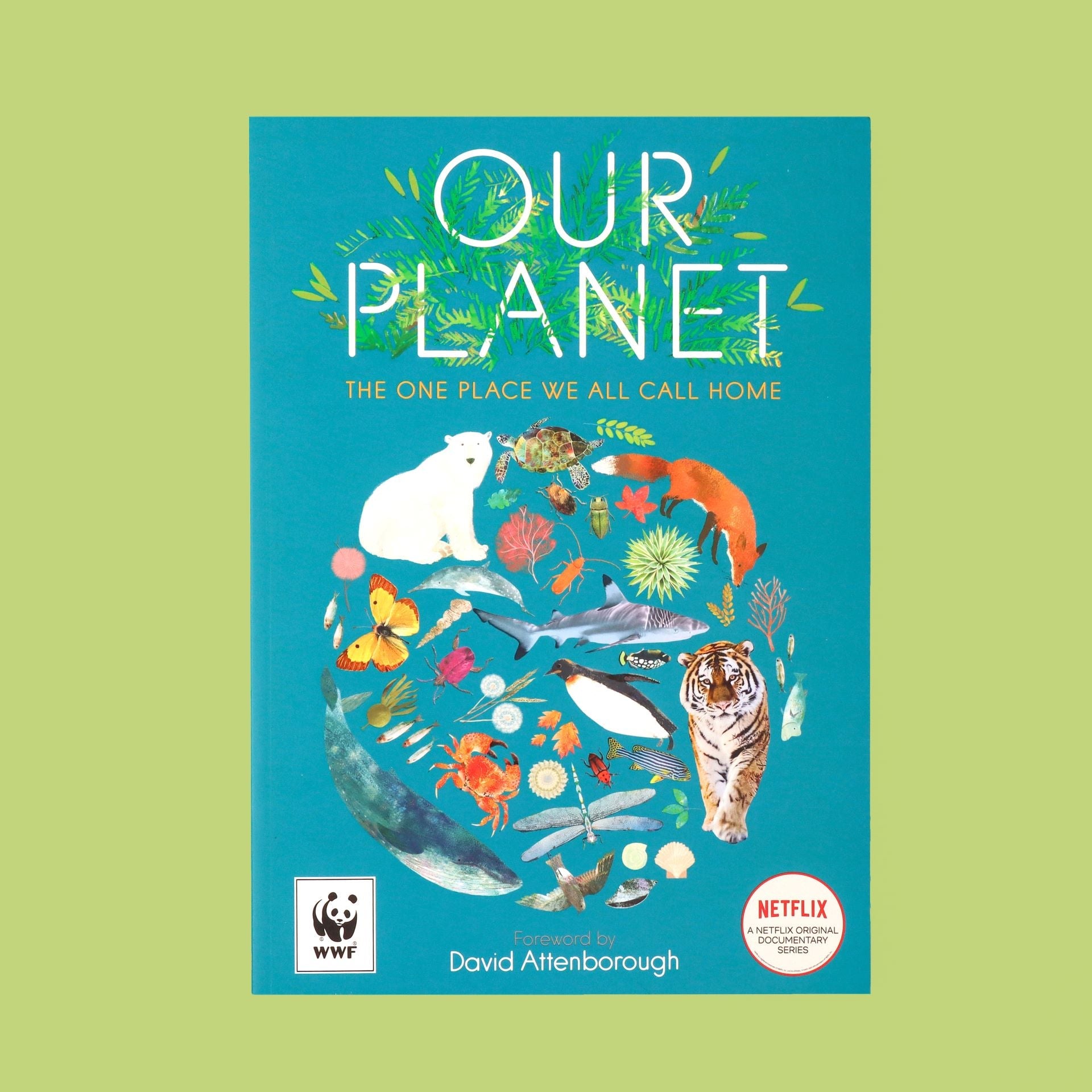 Our Planet: The One Place We All Call Home Book