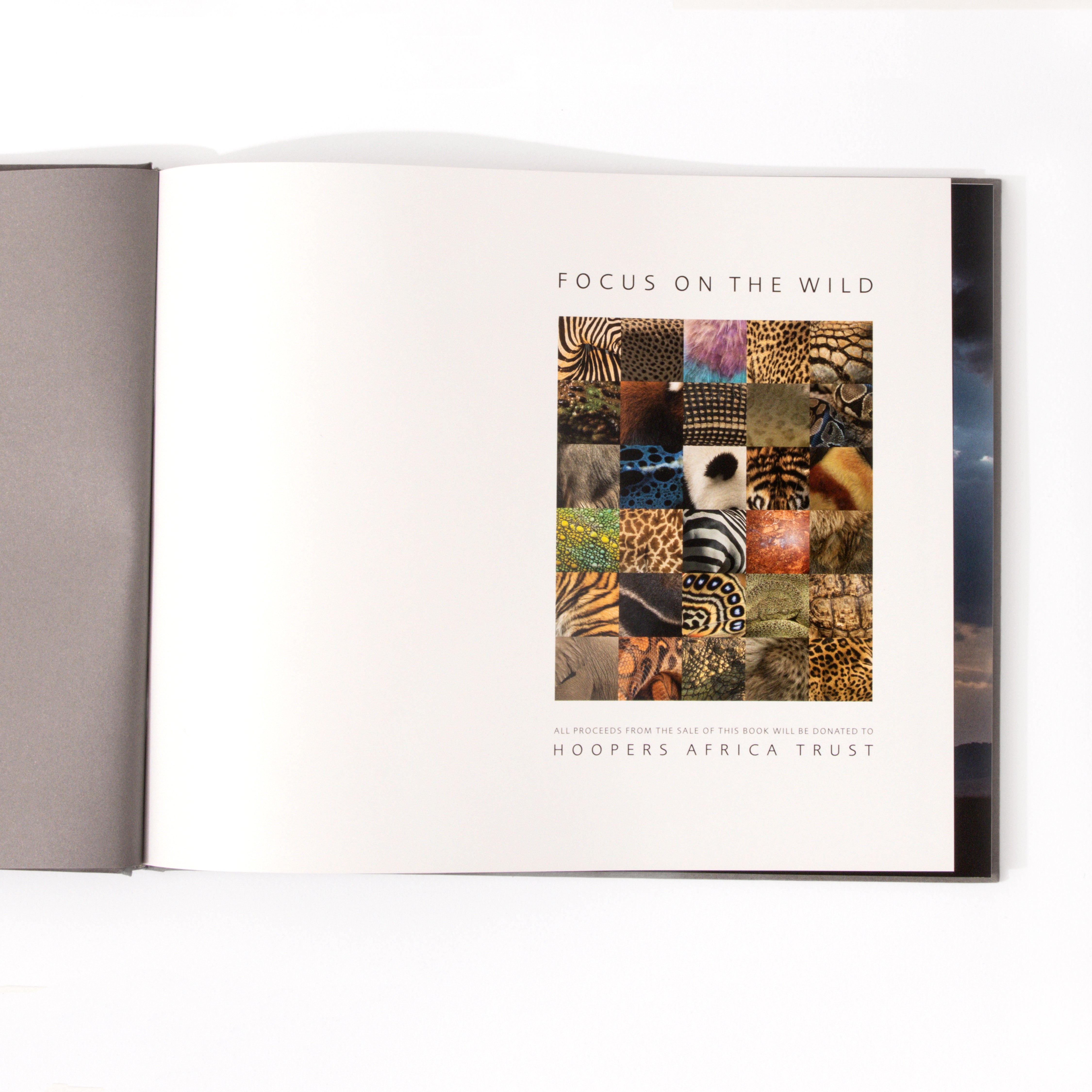 Focus on the Wild photography book by Roger Hooper