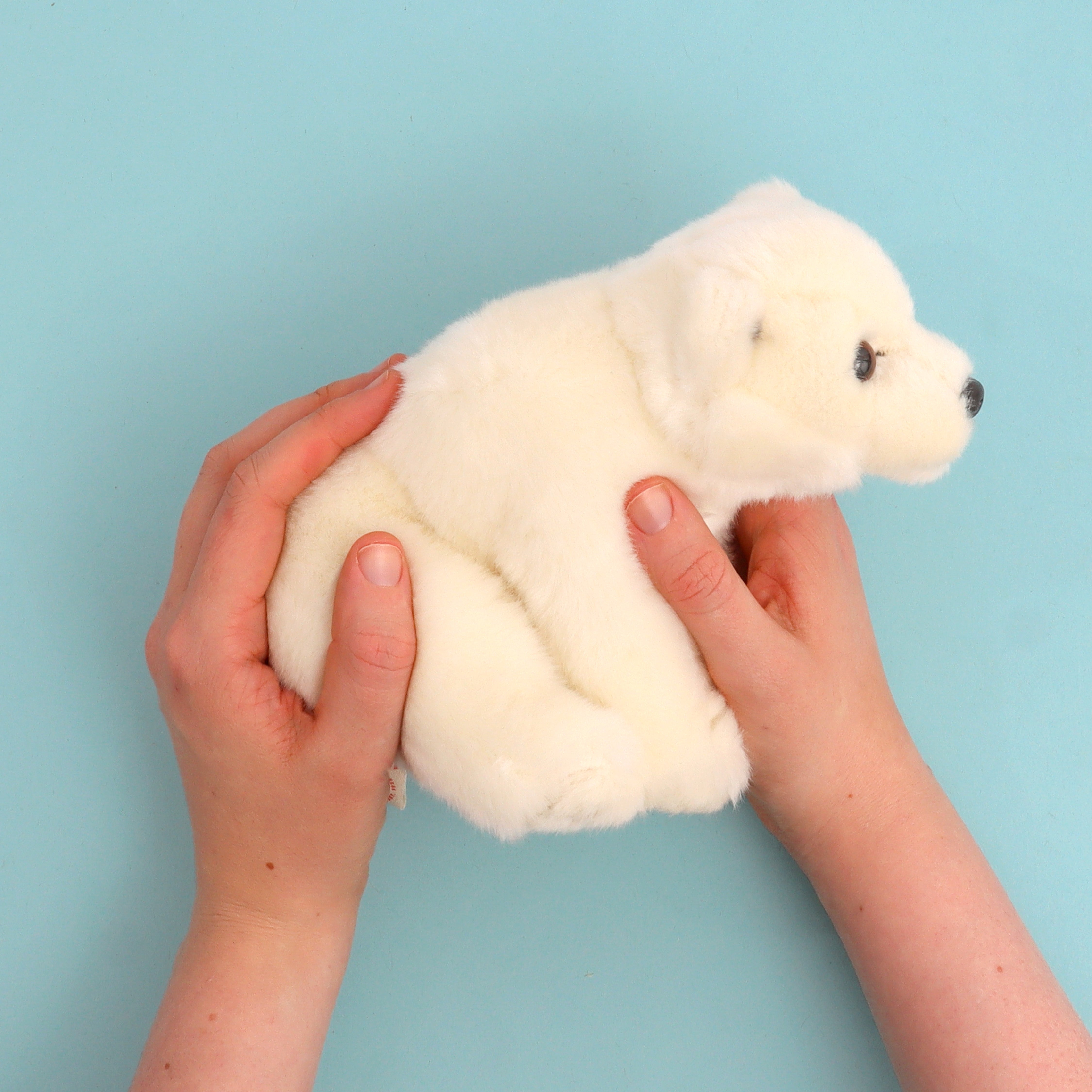 WWF Plush Polar Bear Sitting