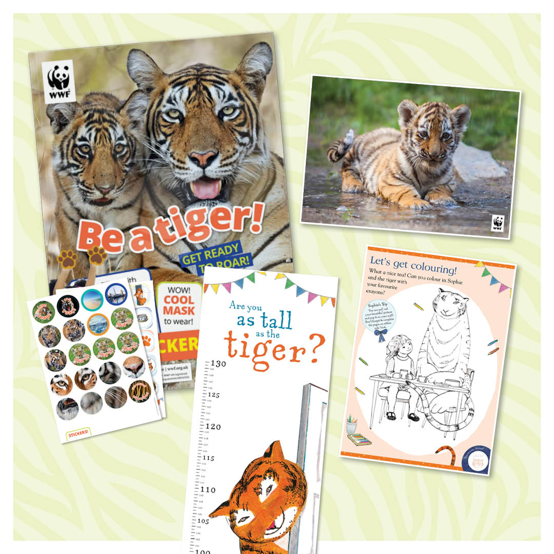 The Tiger Who Came To Tea Activity Pack