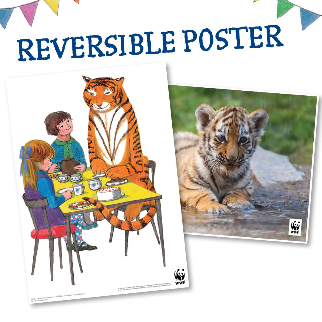 The Tiger Who Came To Tea Activity Pack