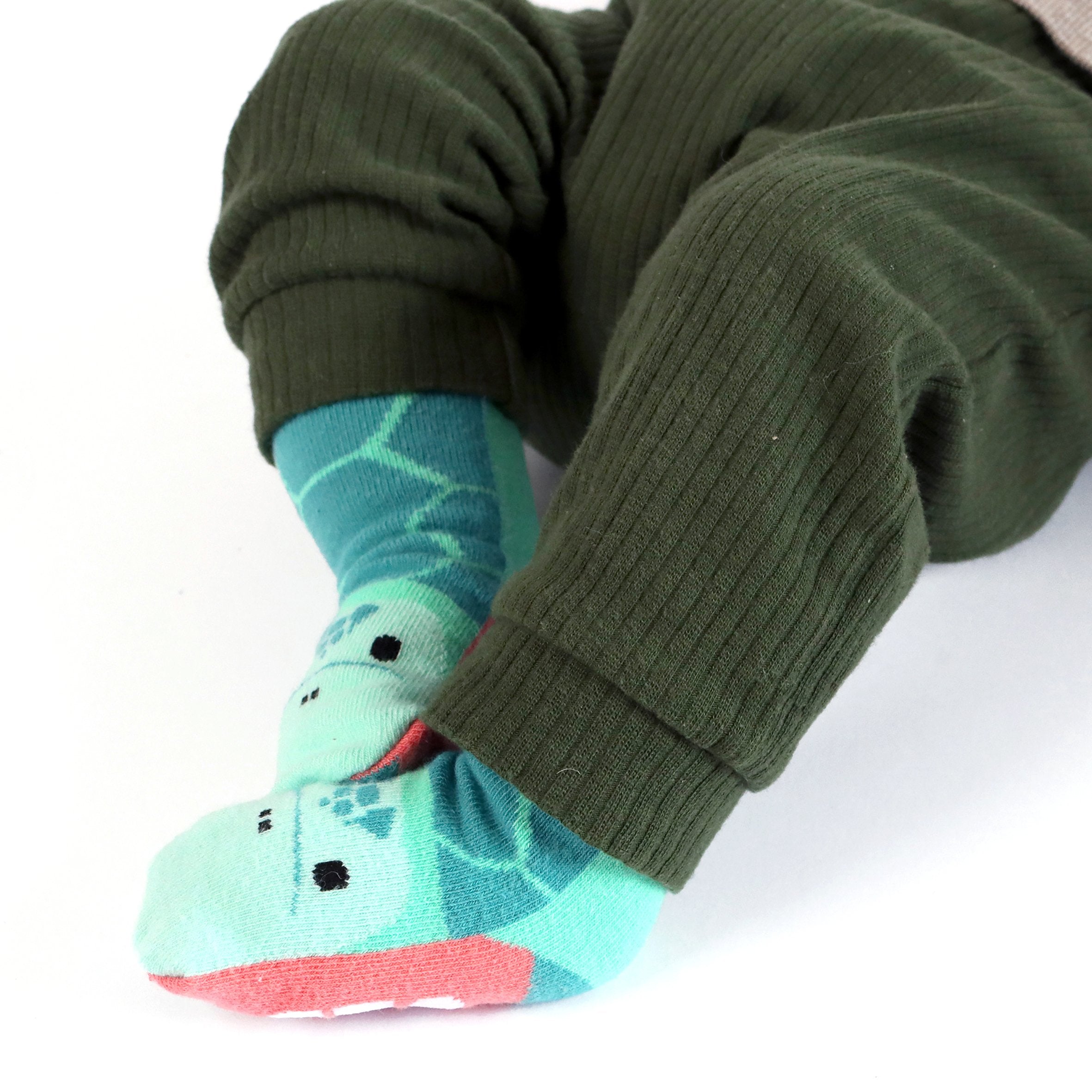 Critically Endangered Baby Socks - 4 pack
