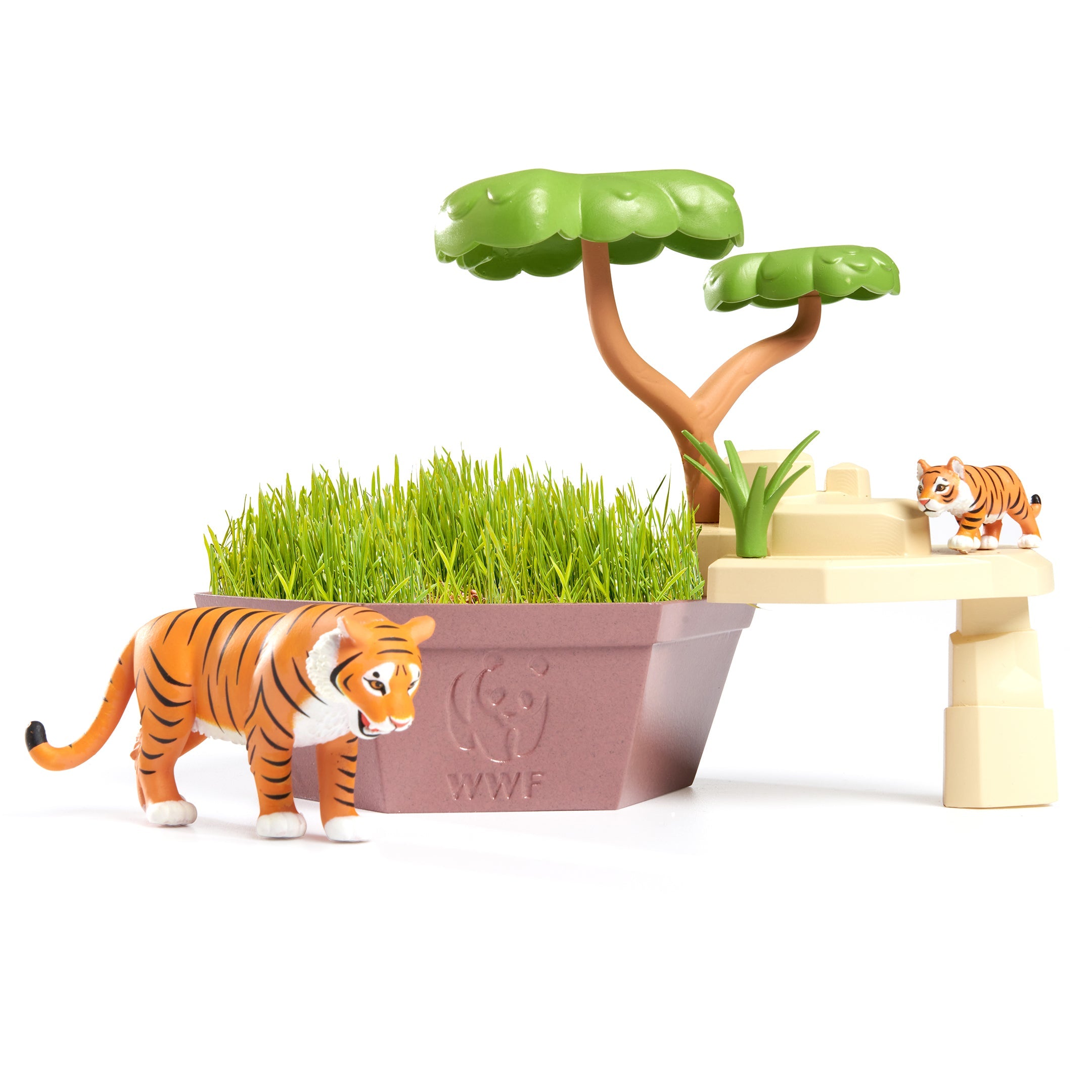 Wild Scenes Grow and Play