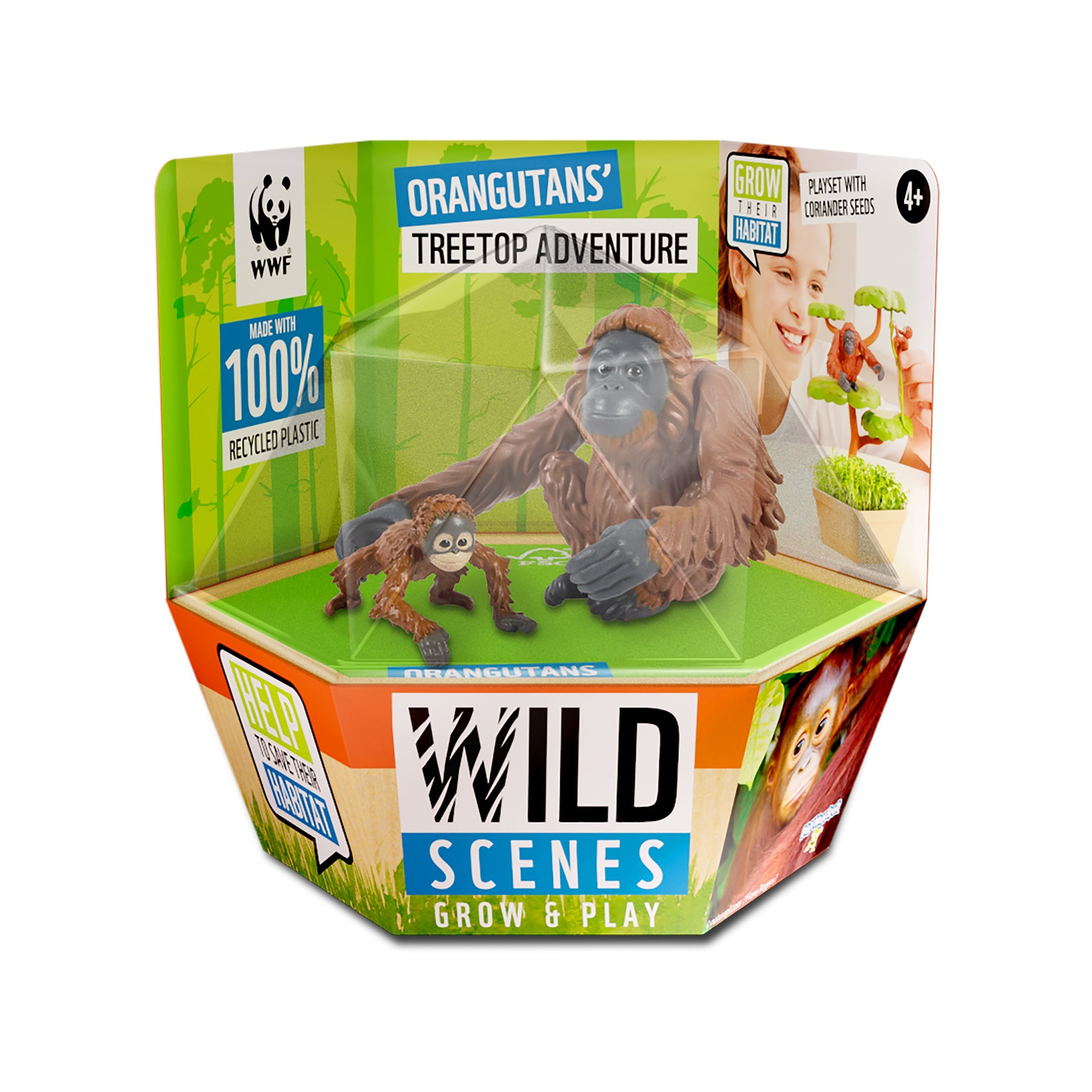 Wild Scenes Grow and Play