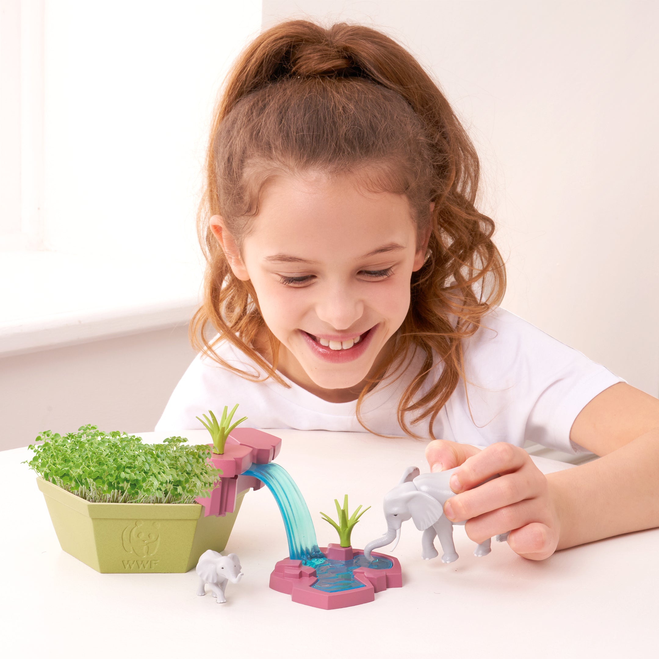 Wild Scenes Grow and Play