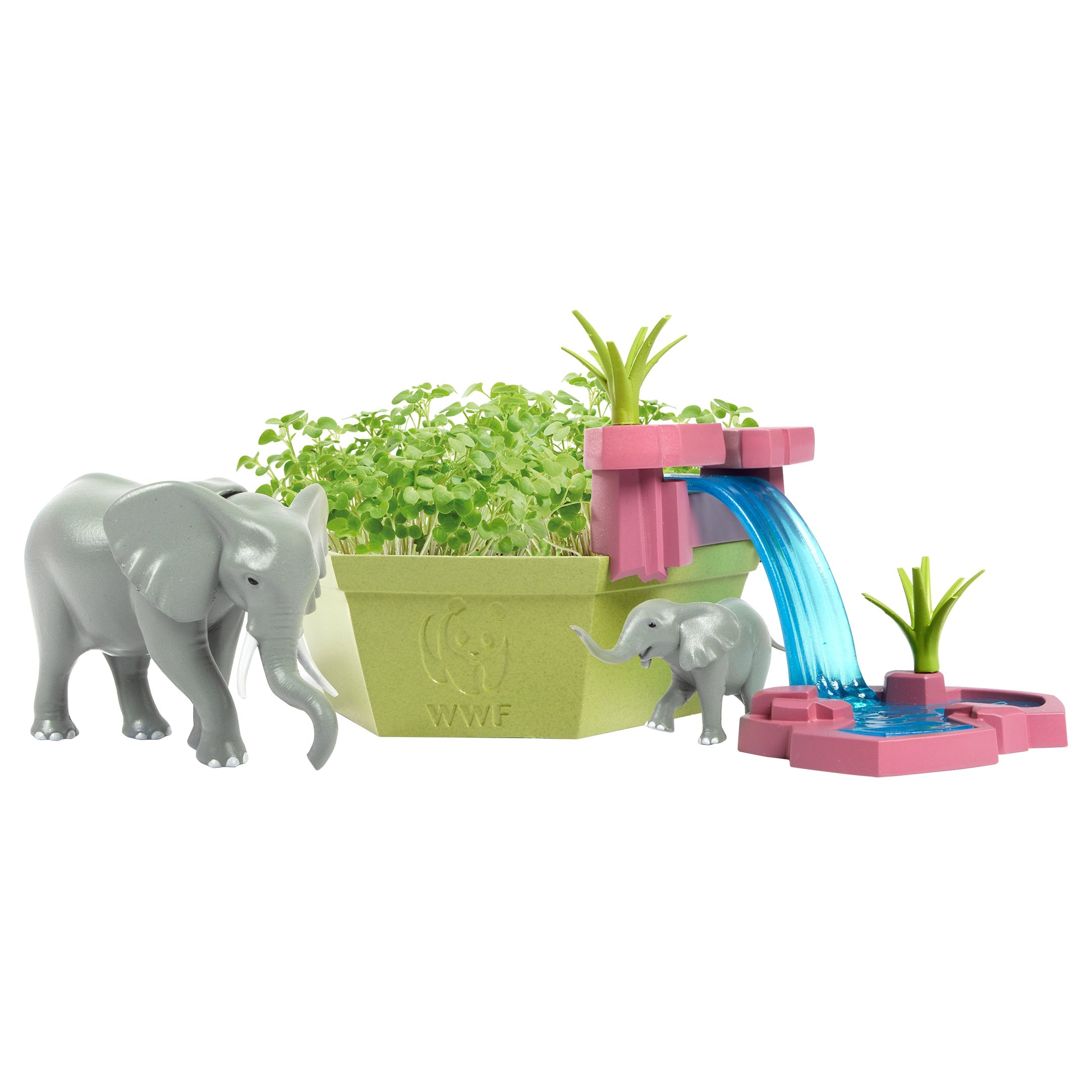 Wild Scenes Grow and Play