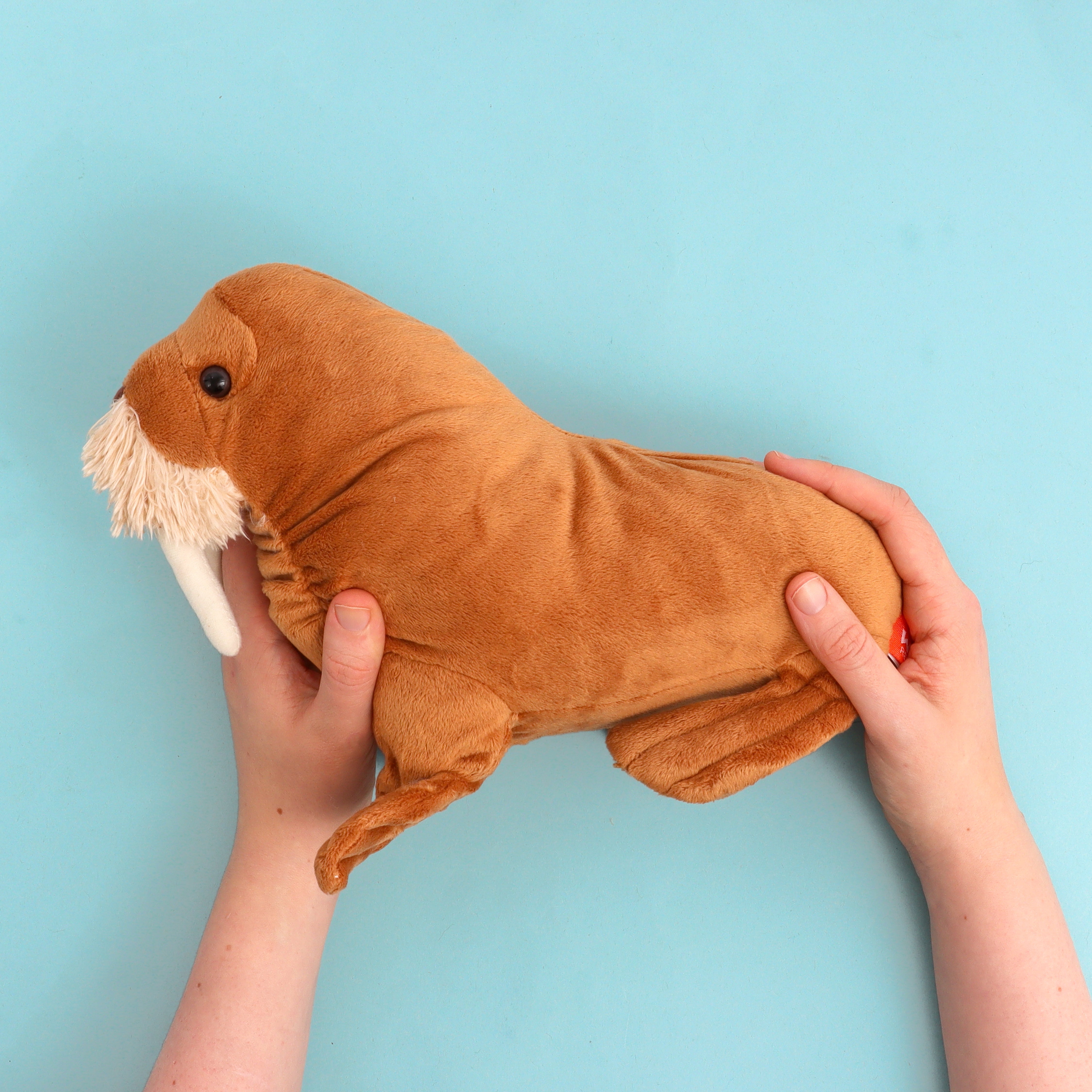 WWF Plush Walrus