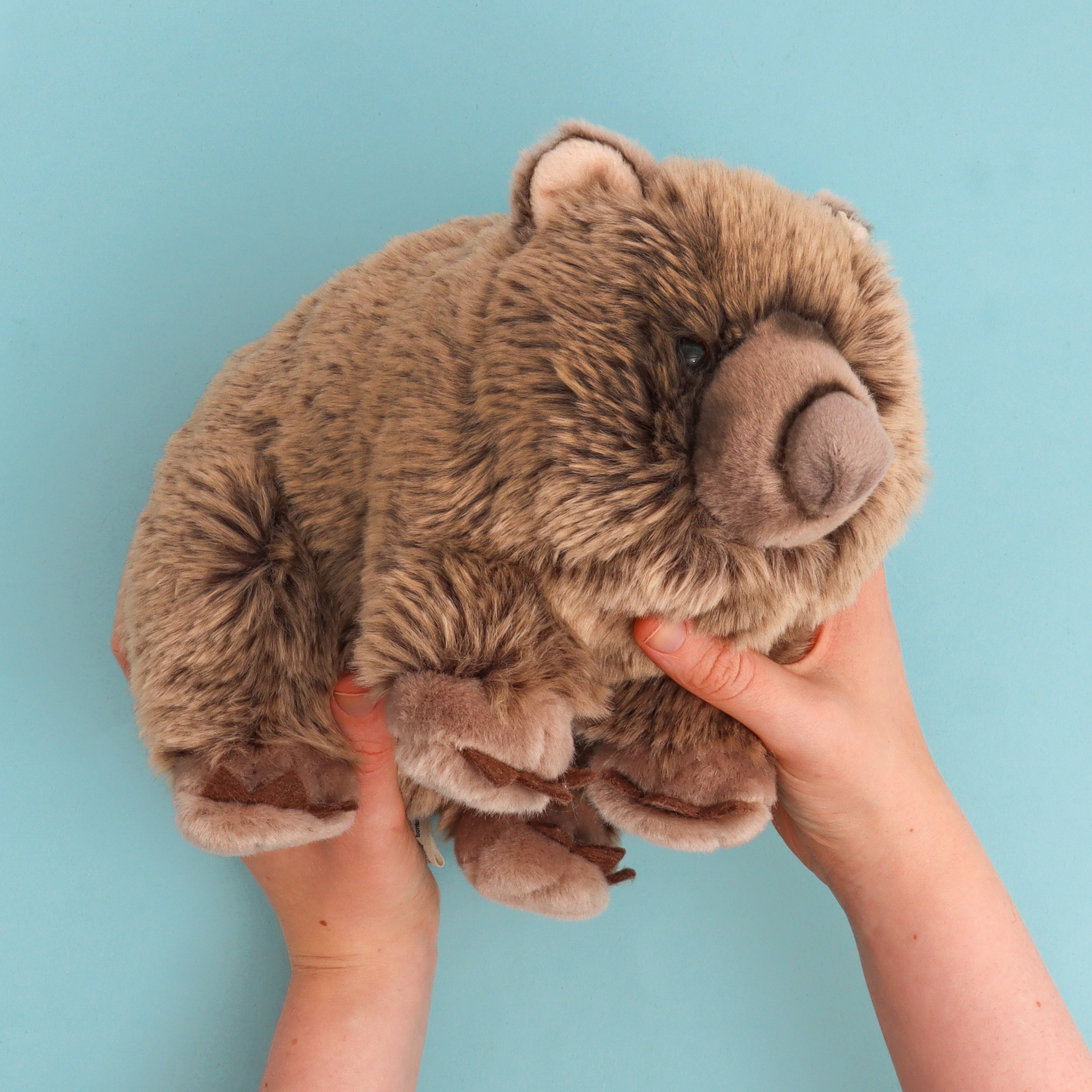 Plush Wombat Toy