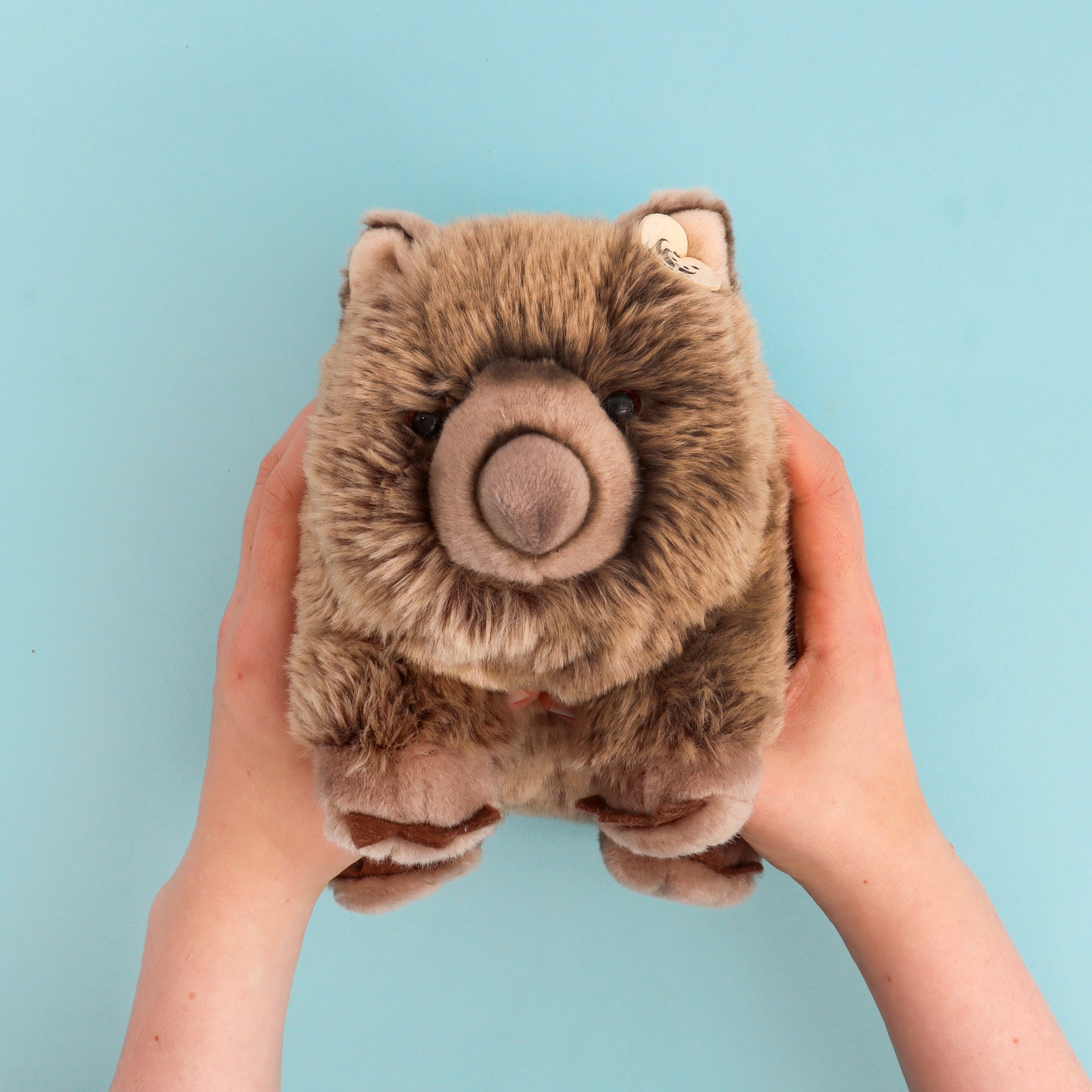 Plush Wombat Toy