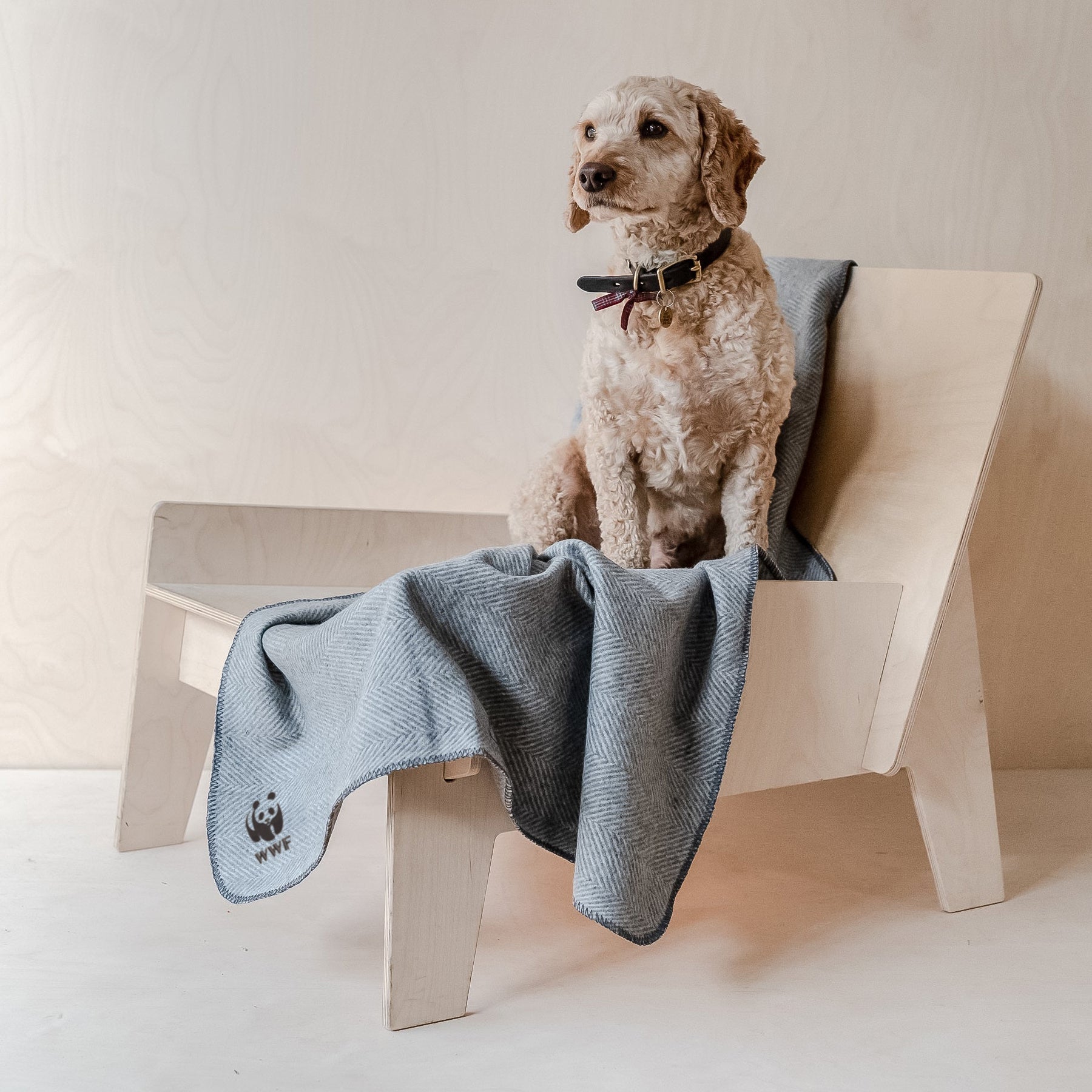 Recycled Wool Large Pet Blanket