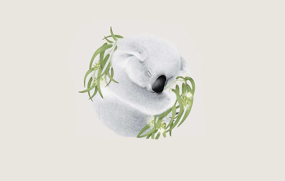 Koala Ecard by Louise Jones