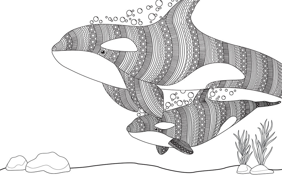 Whale Ecard by Emma Walling